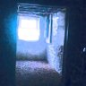 thetripfilm's profile picture. A Psychedelic Horror Film
