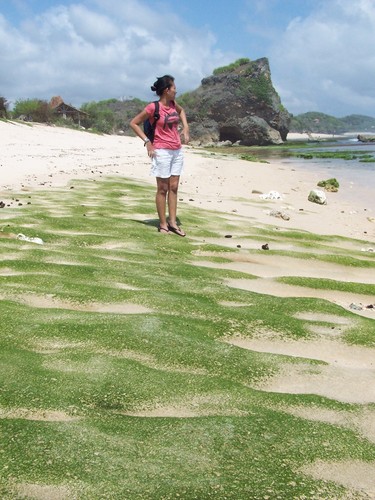 ciciliasitorus's profile picture. 