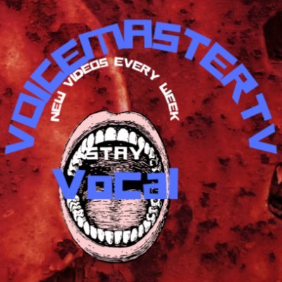 VoiceMasterTVさんのプロフィール画像