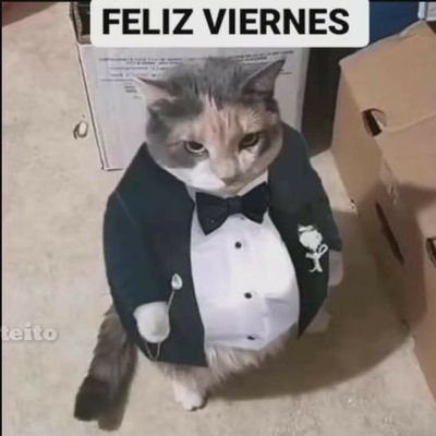 JustlittleB's profile picture. holiwis