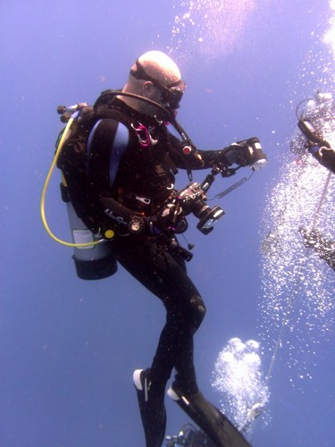 PADI Open Water Instructor #283387, EFR/AED Instructor, Enriched Air/Nitrox Instructor and active underwater photographer