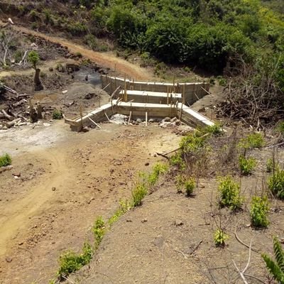 Diallo64174491's profile picture. Timide et simple