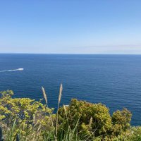 GO!!田 (@qdju57yjpihraws) Twitter profile photo