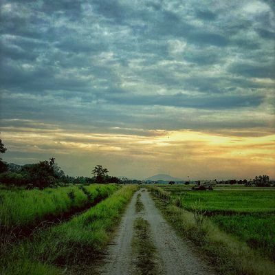 _romeor_'s profile picture. .