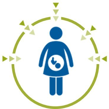 Department Environmental Immunology headed by @AZenclussen at Helmholtz Centre for Environmental Research @UFZ_de
Imprint: https://t.co/w3LlqqJ0jJ https://t.co/GN5a3HZ3Qe