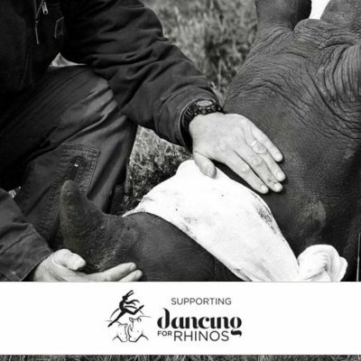 Dancing for Rhinos is a Non-Profit Company that focuses on awareness, education, research, protection, orphan and survivor care for our Rhinos.