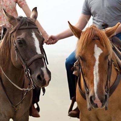 alex00nder's profile picture. I may not be special, but I’m definitely limited edition! last hope imran-khan, Proffesionally Engineer, 🏸.