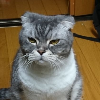 つぐみんさんのプロフィール画像