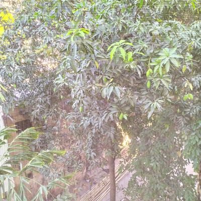 abhi_gyan123's profile picture. जरूरत है नए नफरत करने वालो की
पुराने वाले तो चाहने लगे हैं अब मुझे😎