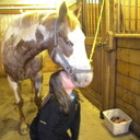 sarah crossman - @horselovergalxo - Twitter