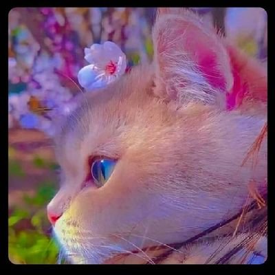 99_malakash's profile picture. born to made you crazy 😜 😛😋