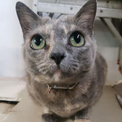 MommaBear7891's profile picture. ...retweet. retweet.