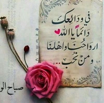 GihanAly4's profile picture. دكتوراة في التاريخ الحديث والمعاصر