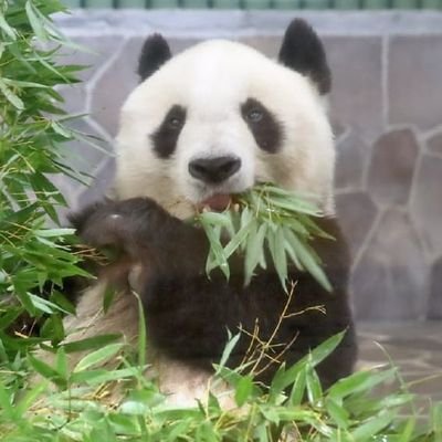 marucha25522097's profile picture. 