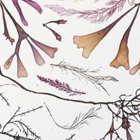GraphicalAbstract (@graphicalabstr1) 's Twitter Profile