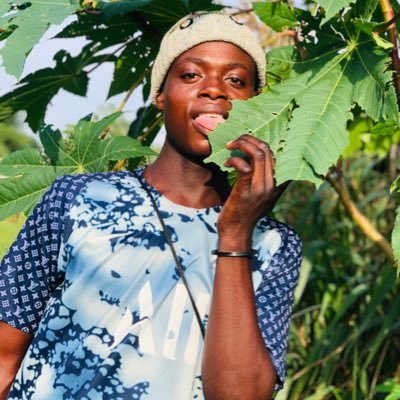 DanielVuti1's profile picture. 