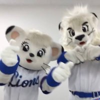 etsuko3Lions (@etsuko3l) 's Twitter Profile