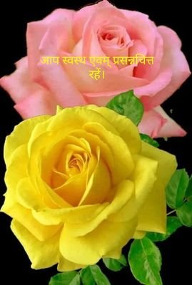 कवि व लेखक