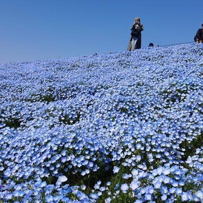 オタ垢とリア垢混ざりつつある、、、😀欲を流してる、自分のメモなのできにしないで