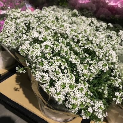 街のお花屋さん Iihanatukurou Twitter