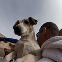 Cass Foley - @Hairofthedog69 - Twitter