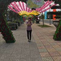 THI NAM TRAN (@thinamtran1) 's Twitter Profile