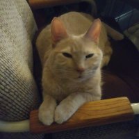 hunbunn59 (@hunbunn59) 's Twitter Profile Photo hunbunn59 (@hunbunn59) 's Twitter Profile Photo