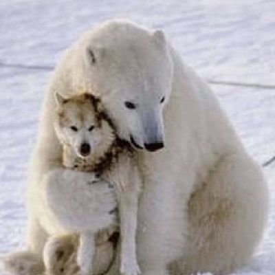 mac779's profile picture. Novice Day Trader, mainly in Indicies. Useful as a counter. Never take my blabble on here as a market trend. Custodian of more losers than winners!
#TheOrder