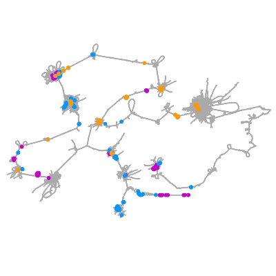 The Floto lab, within the VPD Heart Lung Research Institute, studies how bacteria interact with humans and how to create antibiotics using ML