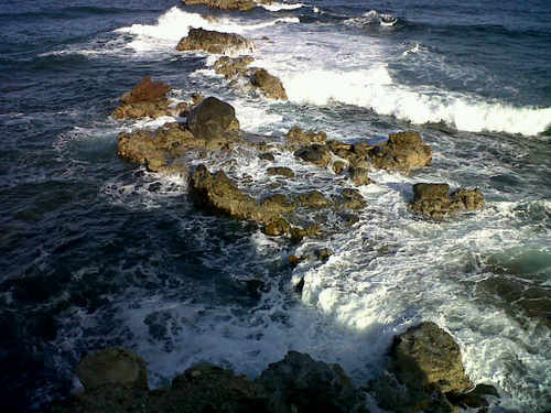 luciangem's profile picture. TO EACH HIS OWN..