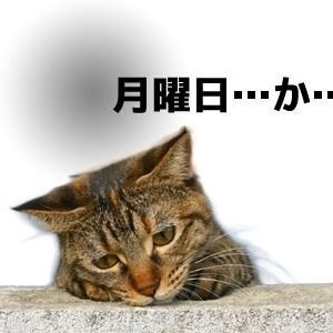 @hekone2008