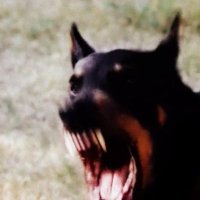 оао эмолюль (@mujuliee) 's Twitter Profile Photo