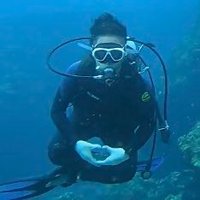 さいくろん (@00240004) 's Twitter Profile