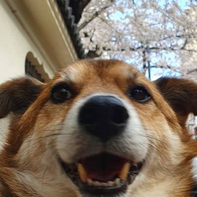 Sianさんのプロフィール画像