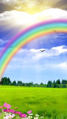 GheduzziMonica's profile picture. l'amore per gli animali e la natura