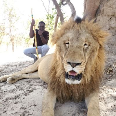 KonteMouhamed's profile picture. Développeur WEB- Entrepreneur