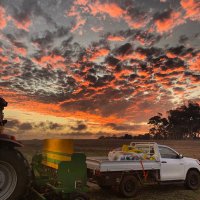 Kieran Howie (@howiefarming) 's Twitter Profile