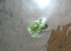 hoikusiman's profile picture. 娘が２人います。息子が１人います。男性保育士から転身、今は幼稚園の先生をしています。