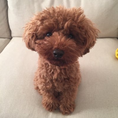 ハイドさんのプロフィール画像