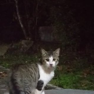 C1000enak's profile picture. xoxo