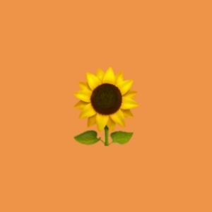 🏵 ; Antonellaさんのプロフィール画像