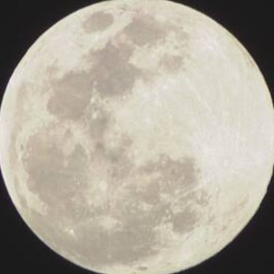 markFSE Profile
