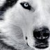 Felipe (@conejeraf) Twitter profile photo Felipe (@conejeraf) Twitter profile photo