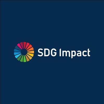 UNDP SDG Impact