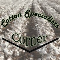 Cotton Specialists Corner (@cottoncornerpod) 's Twitter Profile Photo Cotton Specialists Corner (@cottoncornerpod) 's Twitter Profile Photo