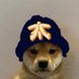 phlossy (@phlossy_) Twitter profile photo phlossy (@phlossy_) Twitter profile photo