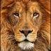 LHS BASEBALL (@lbc401) Twitter profile photo LHS BASEBALL (@lbc401) Twitter profile photo