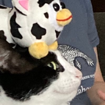 Abel is aaaaaaaaaaaaaaaaaさんのプロフィール画像