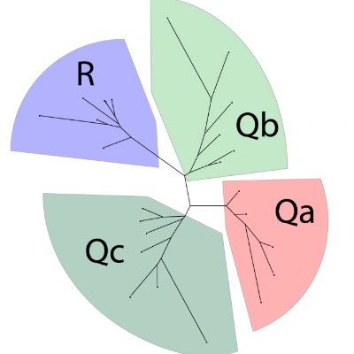 Fasshauer_Lab Profile