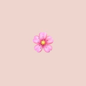 ちまきさんのプロフィール画像